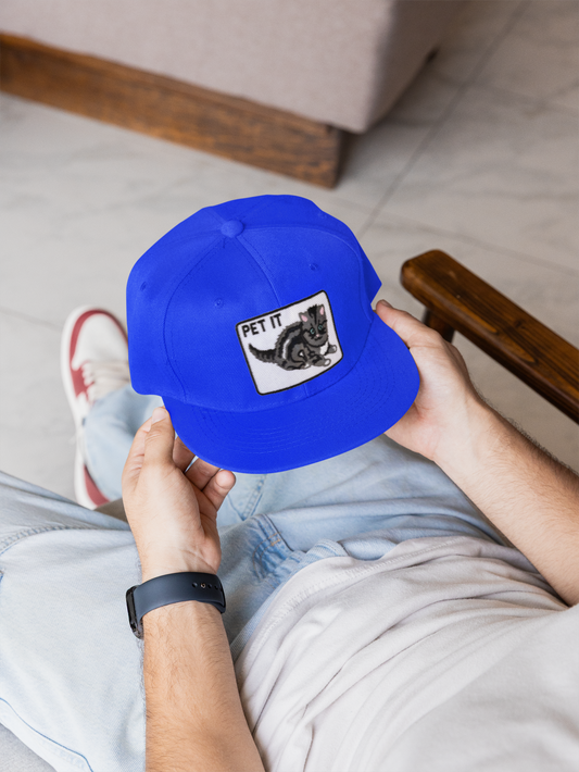 Pet It Curved Brim Snapback